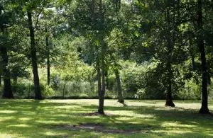 Undisclosed, Dover, AR 72837 photo 31