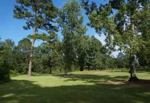 Undisclosed, Dover, AR 72837 photo 36