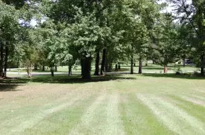 Undisclosed, Dover, AR 72837 photo 4