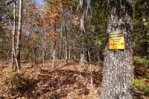 Undisclosed, Dover, AR 72837 photo 1
