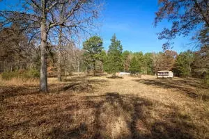 Undisclosed, Dover, AR 72837 photo 9