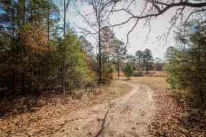 Undisclosed, Dover, AR 72837 photo 13