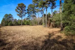 Undisclosed, Dover, AR 72837 photo 11