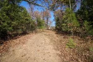Undisclosed, Dover, AR 72837 photo 12