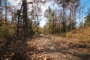 Undisclosed, Dover, AR 72837 photo 6