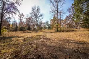 Undisclosed, Dover, AR 72837 photo 8