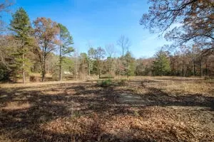 Undisclosed, Dover, AR 72837 photo 4