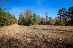 Undisclosed, Dover, AR 72837 photo 3