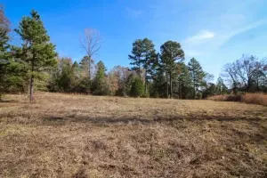 Undisclosed, Dover, AR 72837 photo 2