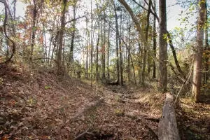 Undisclosed, Dover, AR 72837 photo 10