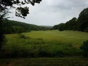 Undisclosed, Dover, AR 72837 photo 13