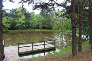 Undisclosed, Dover, AR 72837 photo 14