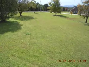 Undisclosed, Dover, AR 72837 photo 52