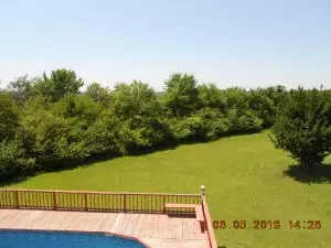 Undisclosed, Dover, AR 72837 photo 14