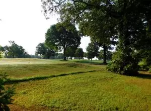 Undisclosed, Dover, AR 72837 photo 3