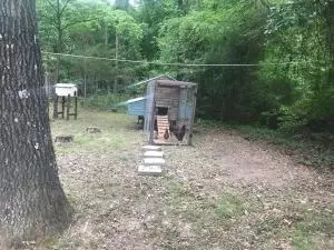Undisclosed, Dover, AR 72837 photo 18