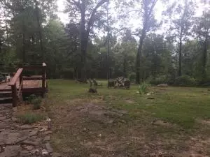 Undisclosed, Dover, AR 72837 photo 27