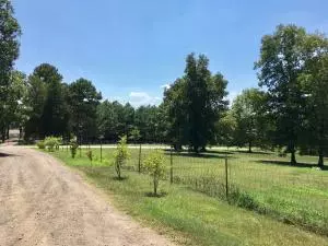 Undisclosed, Lamar, AR 72846 photo 42