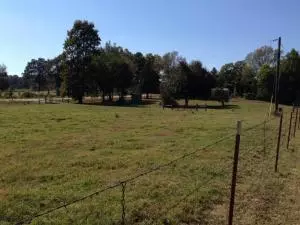 Undisclosed, Dover, AR 72837 photo 50