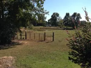 Undisclosed, Dover, AR 72837 photo 38