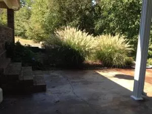 Undisclosed, Dover, AR 72837 photo 16