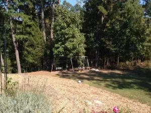 Undisclosed, Dover, AR 72837 photo 40
