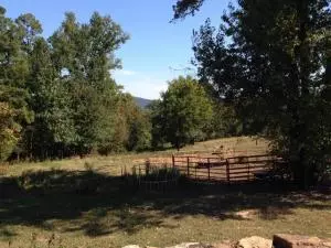 Undisclosed, Dover, AR 72837 photo 39