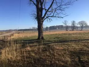 Undisclosed, Jerusalem, AR 72080 photo 18