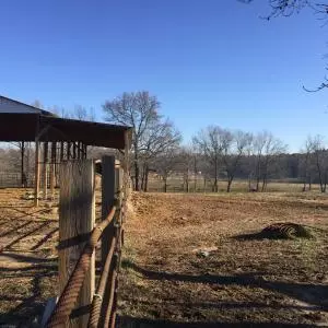 Undisclosed, Jerusalem, AR 72080 photo 2