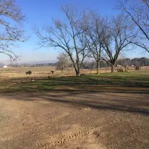 Undisclosed, Jerusalem, AR 72080 photo 12