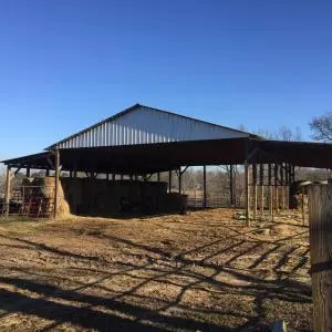 Undisclosed, Jerusalem, AR 72080 photo 3