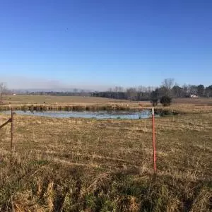 Undisclosed, Jerusalem, AR 72080 photo 14