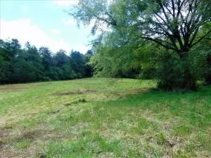 Undisclosed, Hector, AR 72843 photo 2