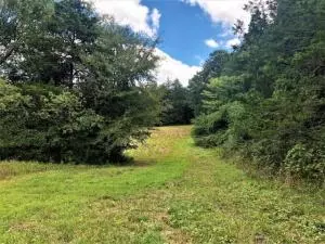 Undisclosed, Hector, AR 72843 photo 3