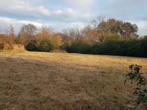 Undisclosed, Dover, AR 72837 photo 11