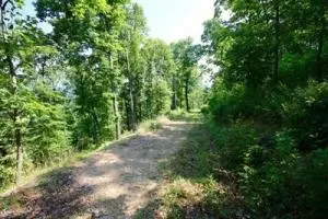 Undisclosed, Lamar, AR 72846 photo 31