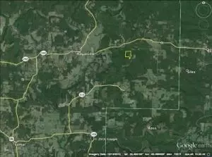 Undisclosed, Lamar, AR 72846 photo 38