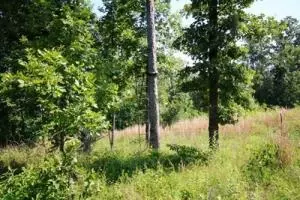 Undisclosed, Lamar, AR 72846 photo 28
