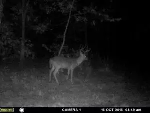 Undisclosed, Lamar, AR 72846 photo 34