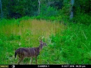 Undisclosed, Lamar, AR 72846 photo 33