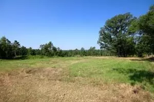 Undisclosed, Lamar, AR 72846 photo 27