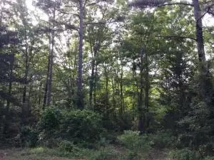 Undisclosed, Dover, AR 72837 photo 7