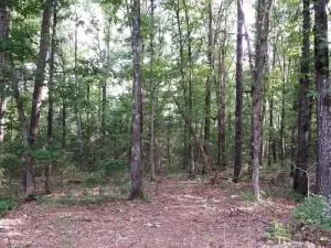 Undisclosed, Dover, AR 72837 photo 5