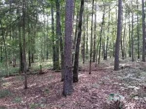 Undisclosed, Dover, AR 72837 photo 6
