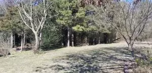 Undisclosed, Dover, AR 72837 photo 4