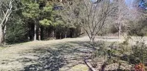 Undisclosed, Dover, AR 72837 photo 3