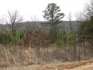 Undisclosed, Coal Hill, AR 72832 photo 1