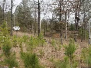 Undisclosed, Coal Hill, AR 72832 photo 3