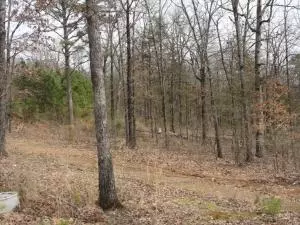 Undisclosed, Coal Hill, AR 72832 photo 2