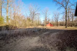 Undisclosed, Dover, AR 72837 photo 16